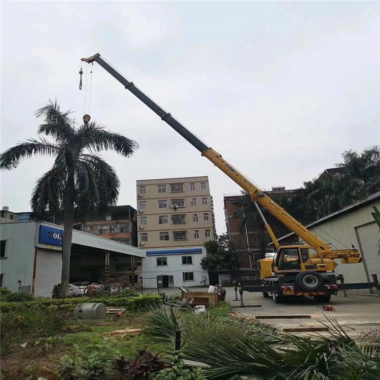 东源树木移栽装卸